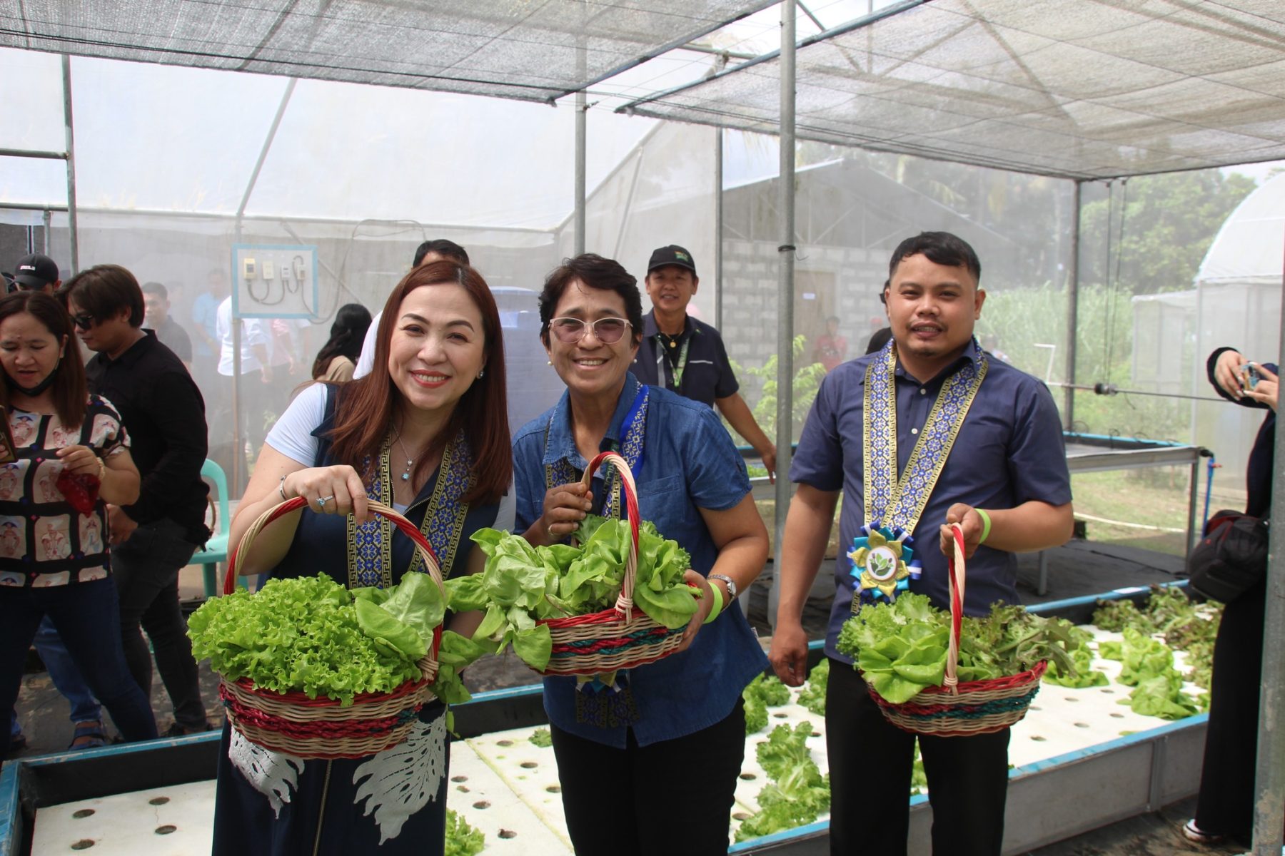 Gulay Mula sa Barangay!