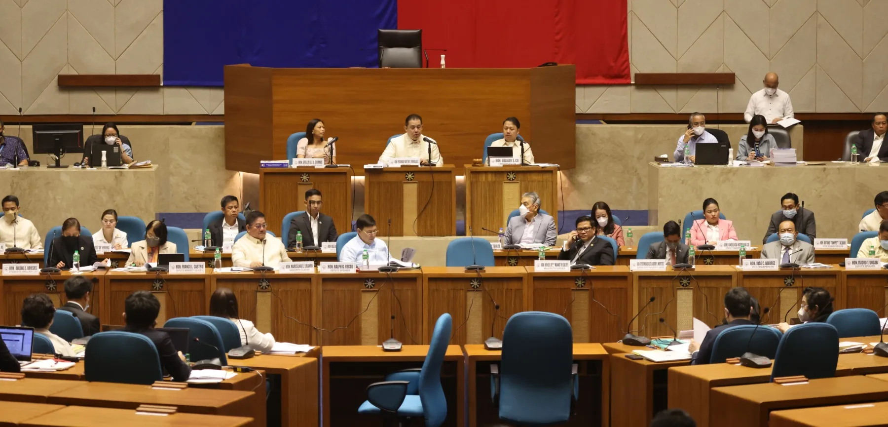 Explainer: “Pork Barrel Rebranded? Understanding the Budget Insertions”